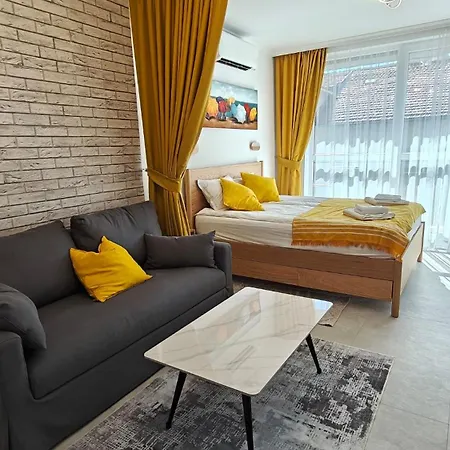 Vivid Sea And Luxury 2 2 *