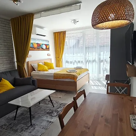 Vivid Sea And Luxury 2 2