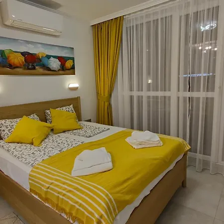 Vivid Sea And Luxury 2 2