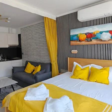 Vivid Sea And Luxury 2 2